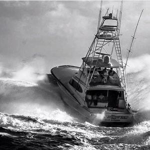 Meet your Posher, Peter